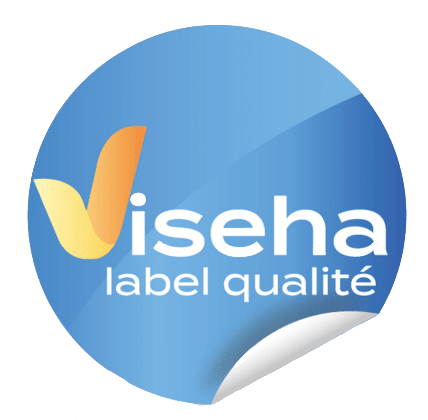logo viseha